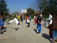 /album/fenykepgaleria/img-2092-jpg/